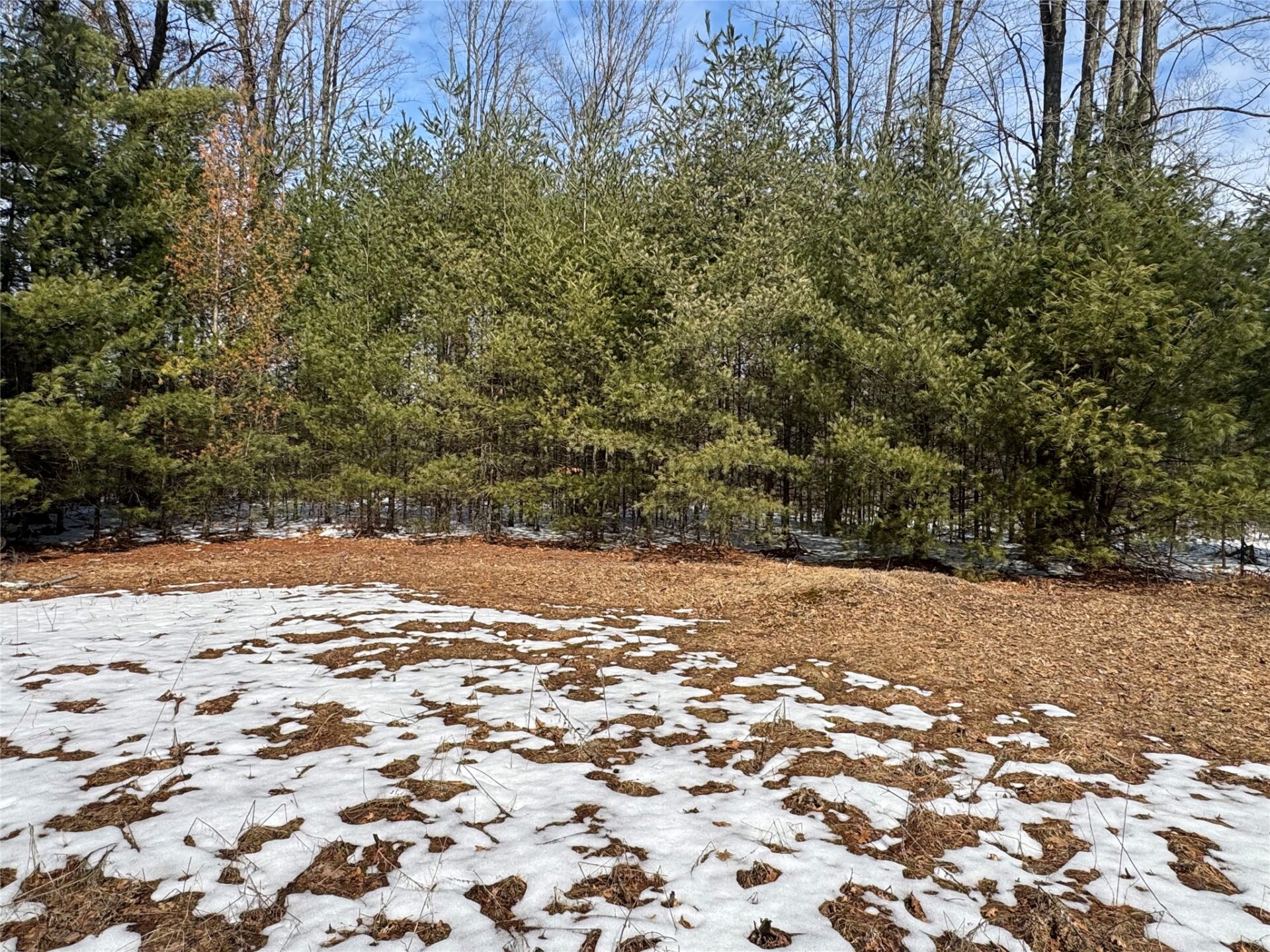 Land at OOO LAKE RD, Clintonville, WI 54929 — photo 28