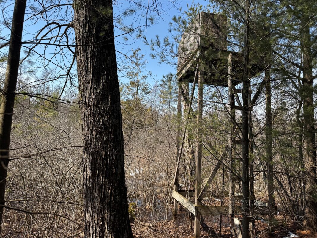 Land at OOO LAKE RD, Clintonville, WI 54929 — photo 29