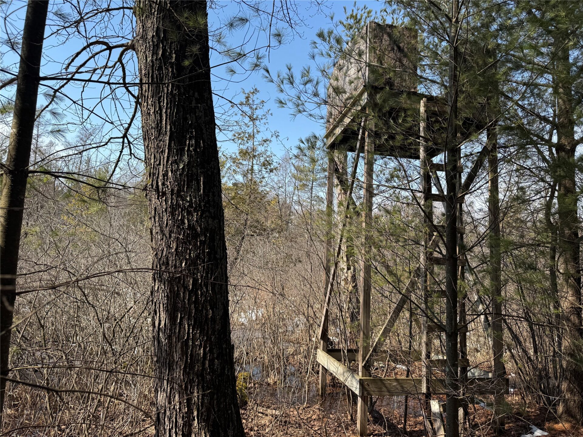 Land at OOO LAKE RD, Clintonville, WI 54929 — photo 29