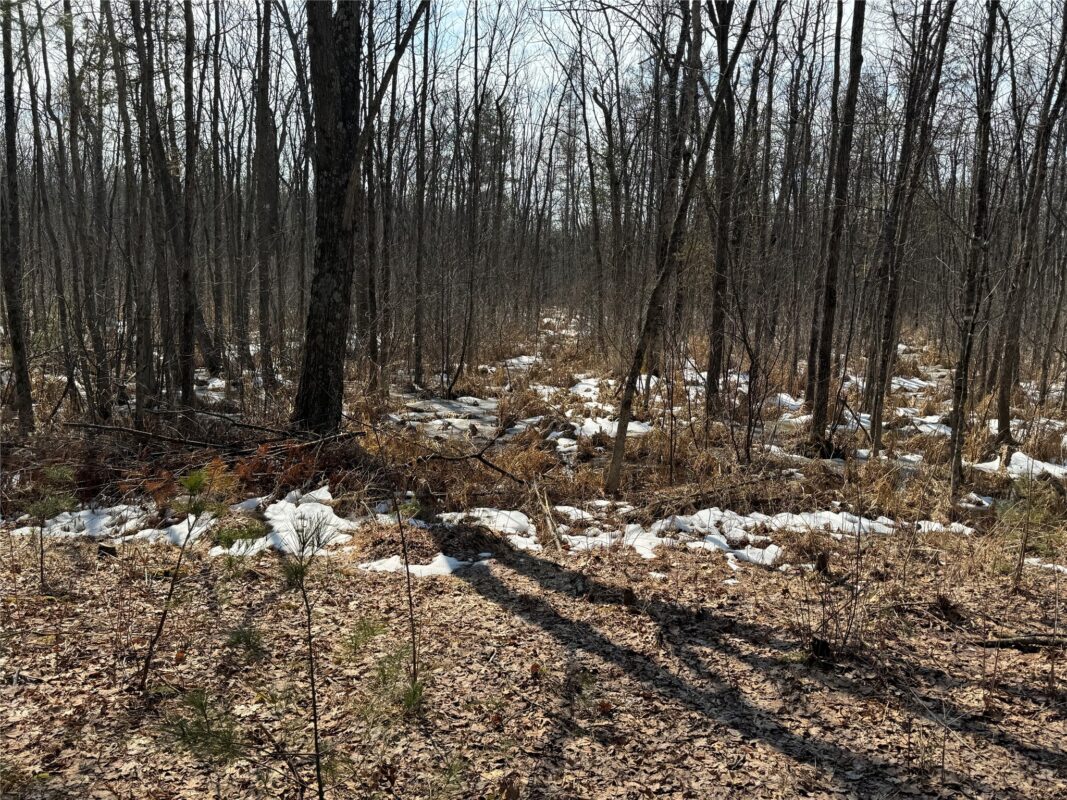 Land at OOO LAKE RD, Clintonville, WI 54929 — photo 30
