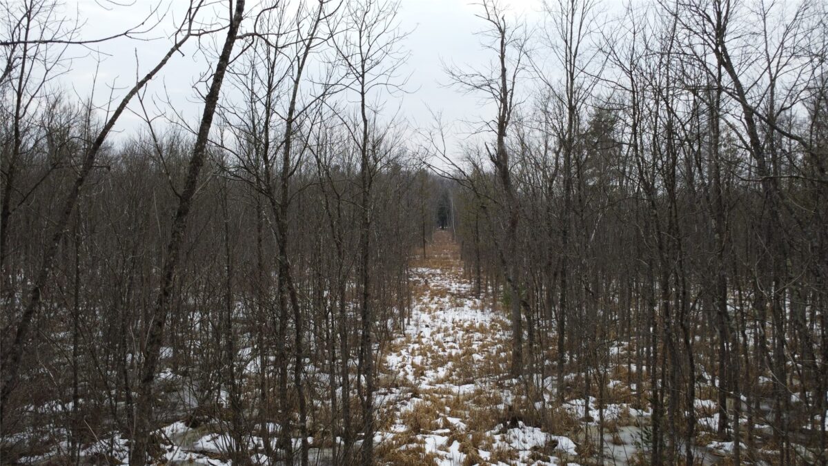 Land at OOO LAKE RD, Clintonville, WI 54929 — photo 4