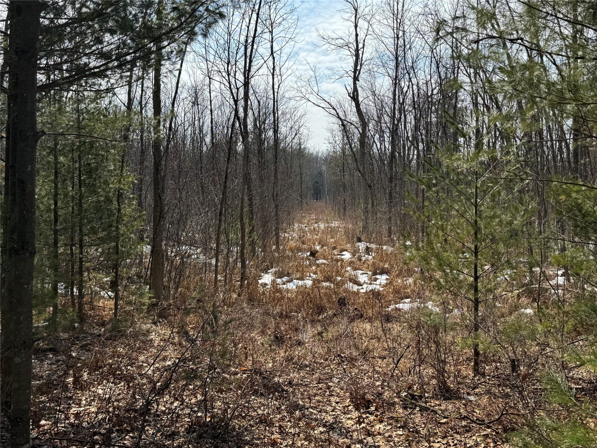 Land at OOO LAKE RD, Clintonville, WI 54929 — photo 31