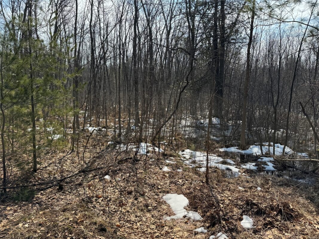 Land at OOO LAKE RD, Clintonville, WI 54929 — photo 32