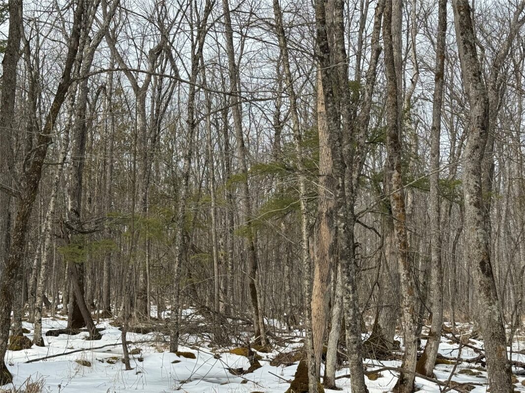 Land at OOO LAKE RD, Clintonville, WI 54929 — photo 35