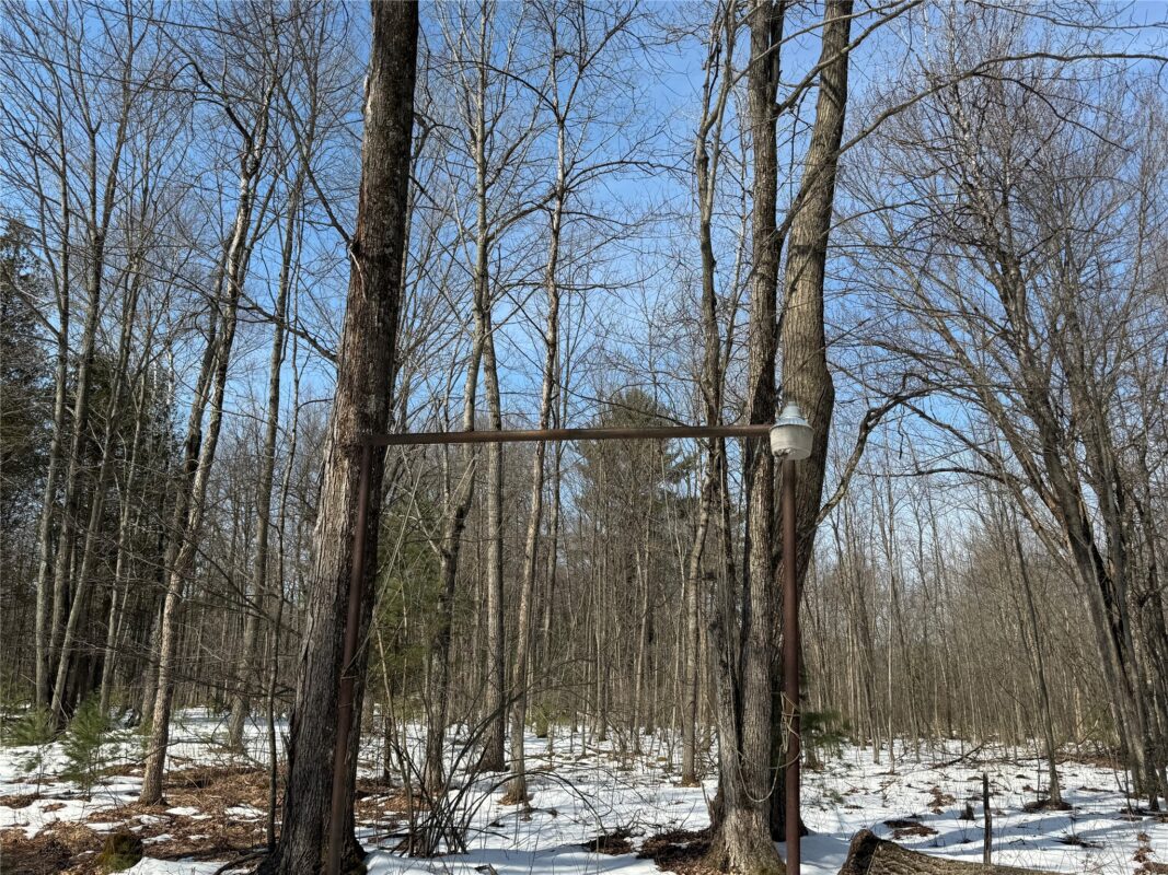 Land at OOO LAKE RD, Clintonville, WI 54929 — photo 5