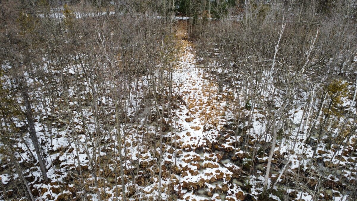 Land at OOO LAKE RD, Clintonville, WI 54929 — photo 6