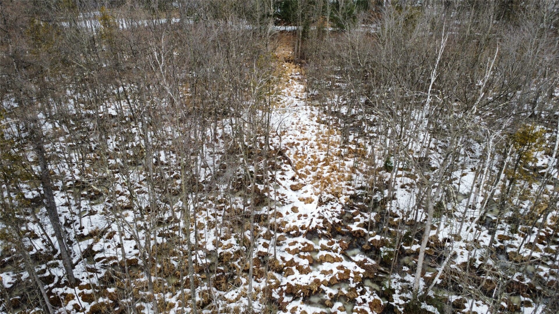 Land at OOO LAKE RD, Clintonville, WI 54929 — photo 6