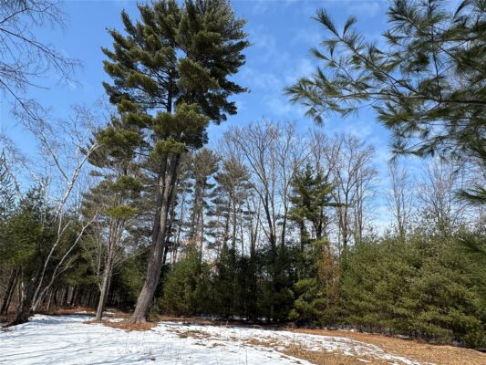 Land at OOO LAKE RD, Clintonville, WI 54929 — photo 1