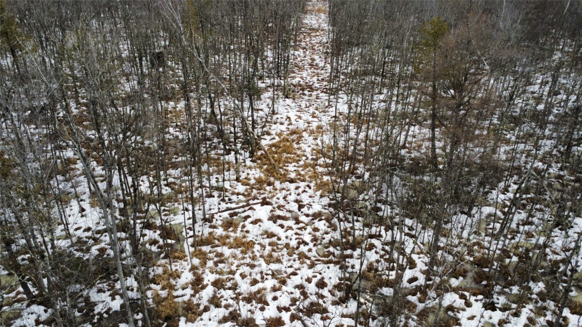 Land at OOO LAKE RD, Clintonville, WI 54929 — photo 8