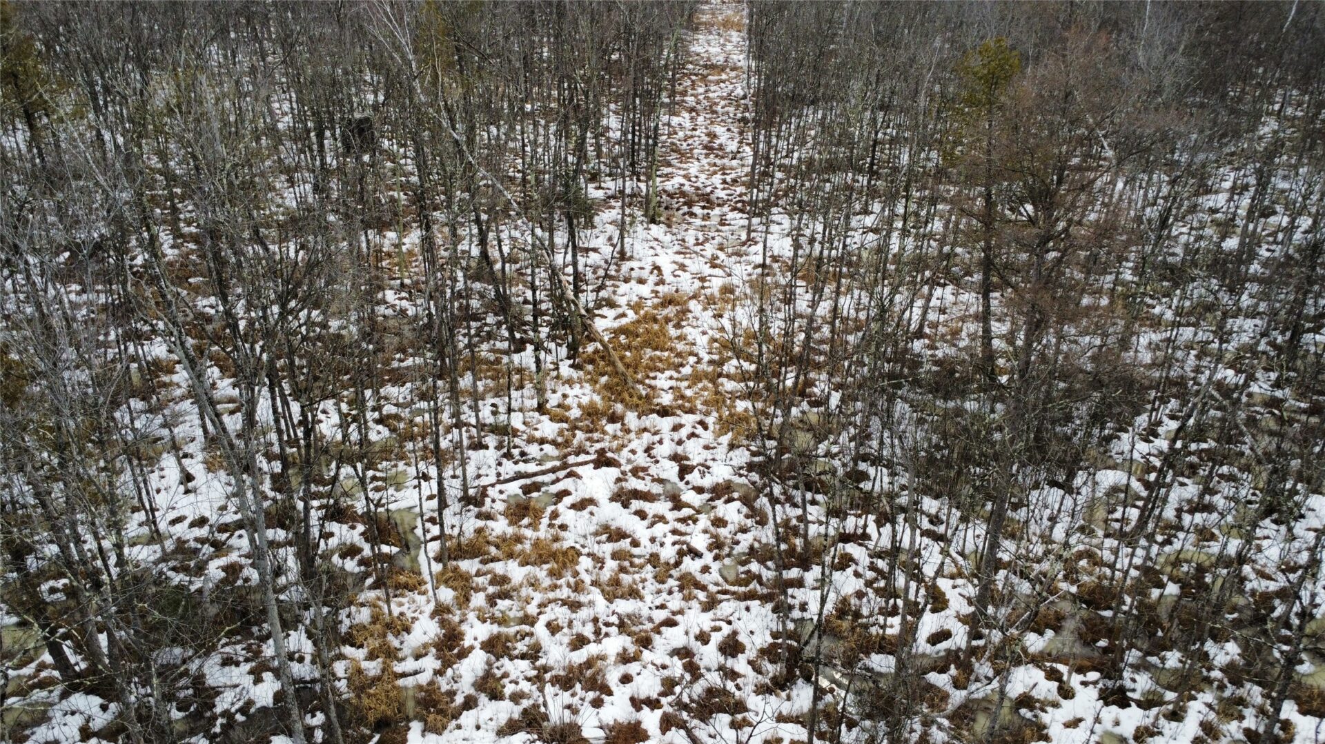 Land at OOO LAKE RD, Clintonville, WI 54929 — photo 8