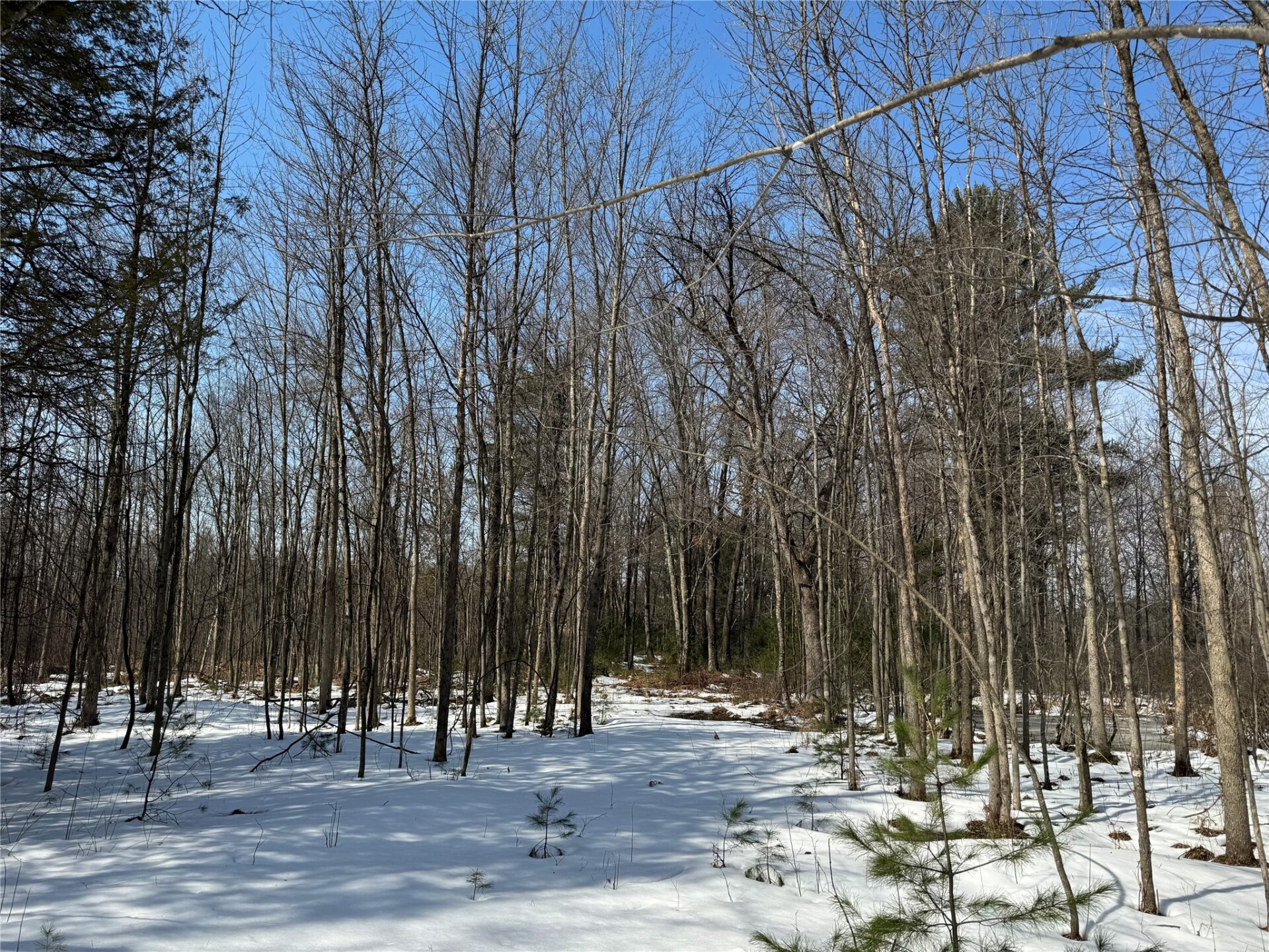 Land at OOO LAKE RD, Clintonville, WI 54929 — photo 9