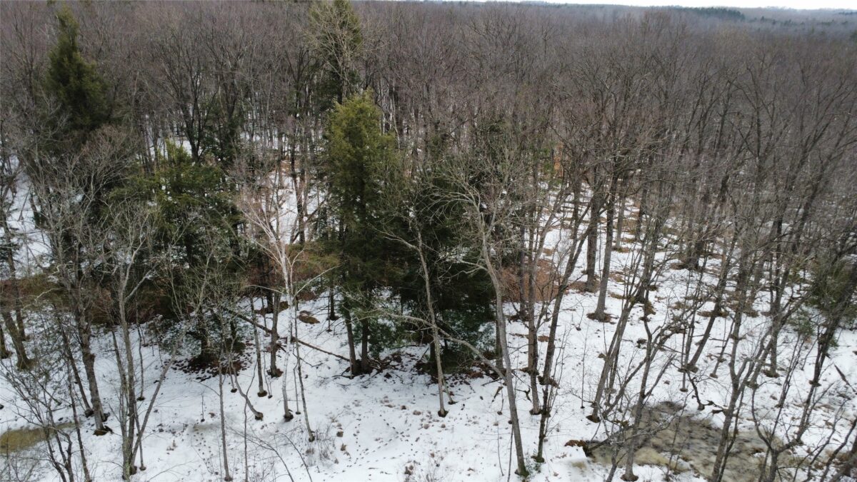 Land at OOO LAKE RD, Clintonville, WI 54929 — photo 10
