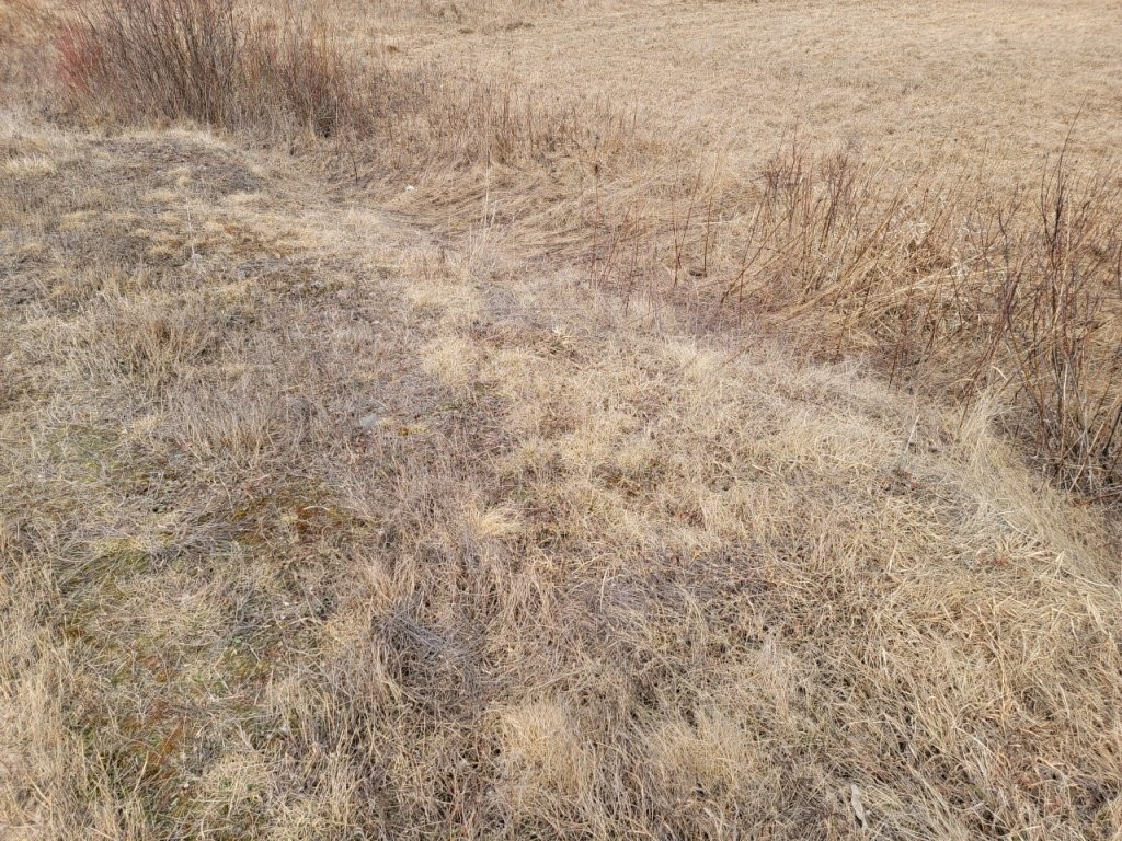 Residential at On Townline Road, Ojibwa, WI 54862 — photo 3