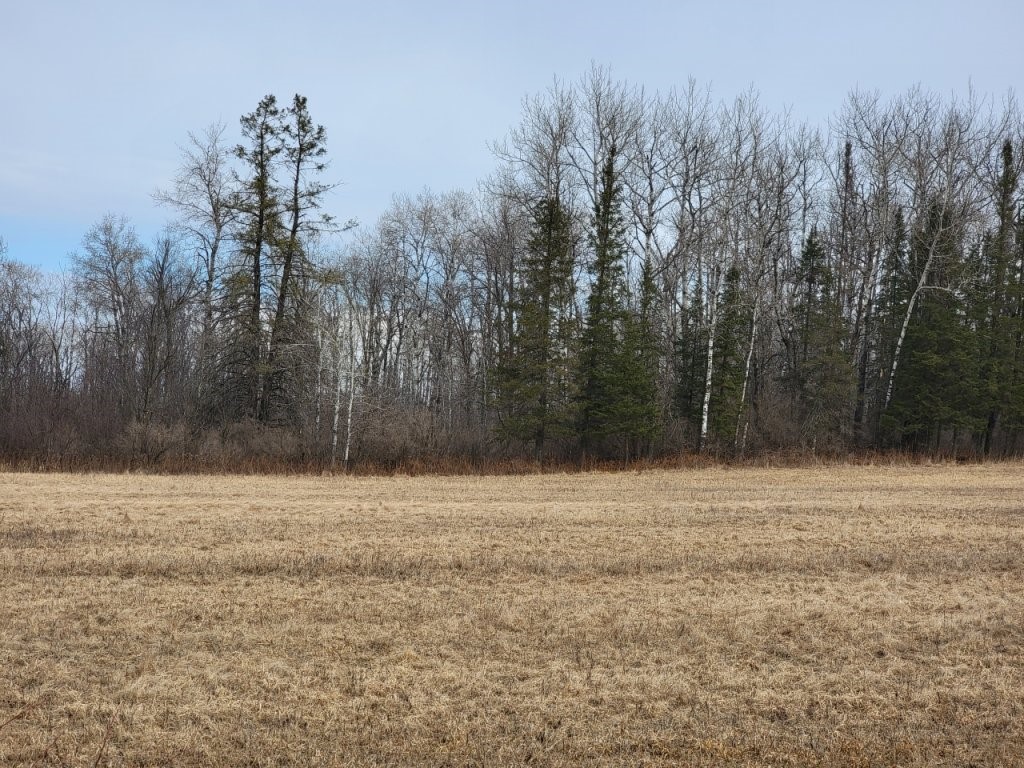 Residential at On Townline Road, Ojibwa, WI 54862 — photo 4