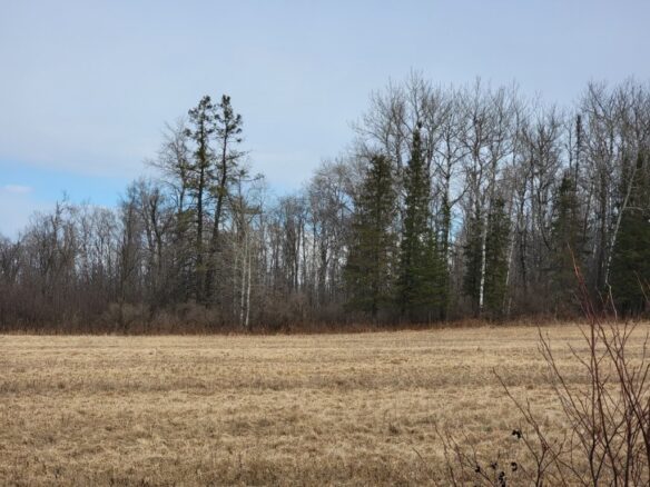 Residential at On Townline Road, Ojibwa, WI 54862 — photo 1