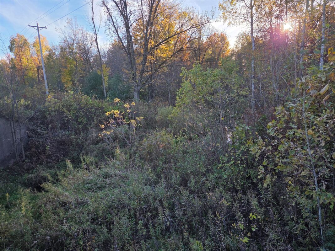 SW corner of Hwy 25 & Hwy 48 Intersection, Rice Lake, WI — photo 2