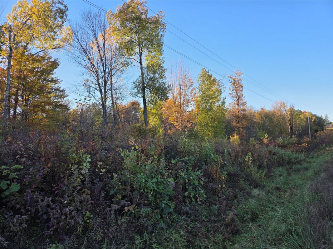 SW corner of Hwy 25 & Hwy 48 Intersection, Rice Lake, WI — photo 3