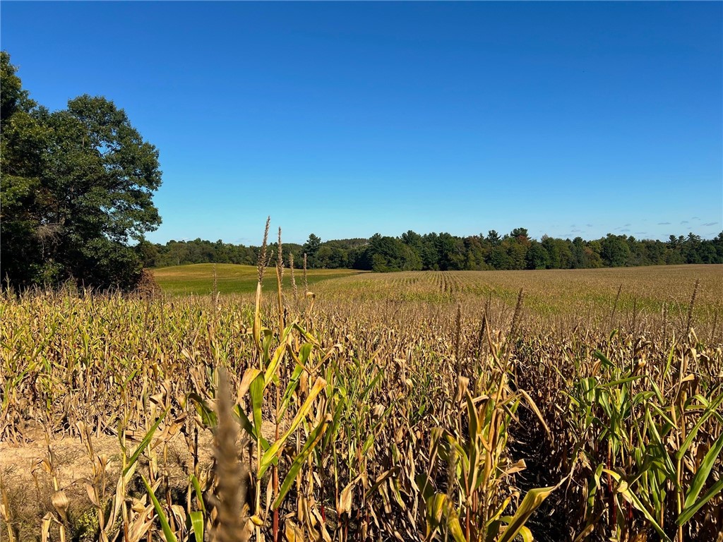 Land at TBD 12/27 Highway, Black River Falls, WI 54615 — photo 2