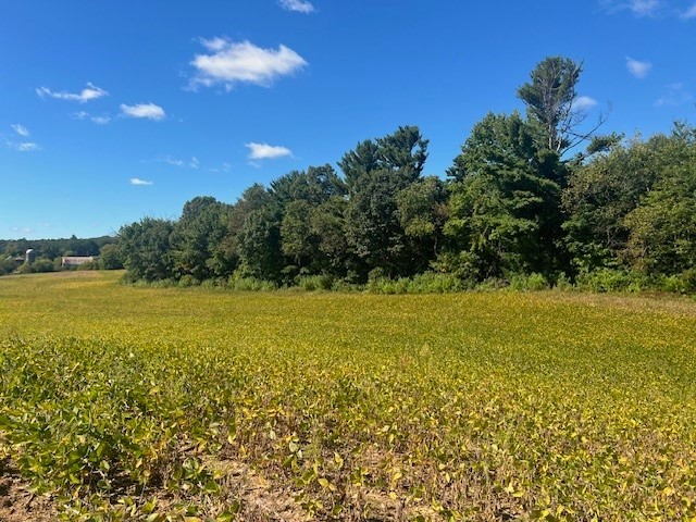 Land at TBD 12/27 Highway, Black River Falls, WI 54615 — photo 12