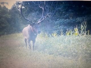 Land at TBD 12/27 Highway, Black River Falls, WI 54615 — photo 13