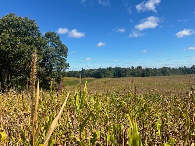 Land at TBD 12/27 Highway, Black River Falls, WI 54615 — photo 15