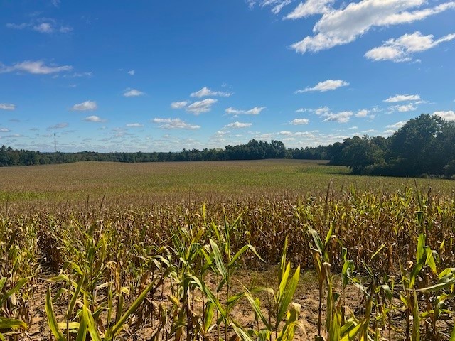 Land at TBD 12/27 Highway, Black River Falls, WI 54615 — photo 17