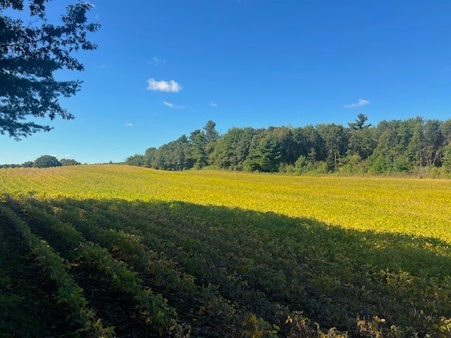 Land at TBD 12/27 Highway, Black River Falls, WI 54615 — photo 18