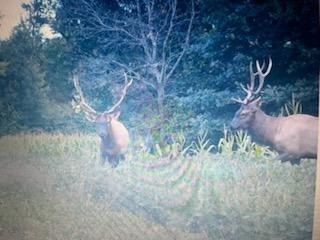 Land at TBD 12/27 Highway, Black River Falls, WI 54615 — photo 19