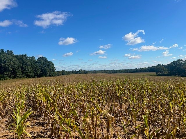 Land at TBD 12/27 Highway, Black River Falls, WI 54615 — photo 20
