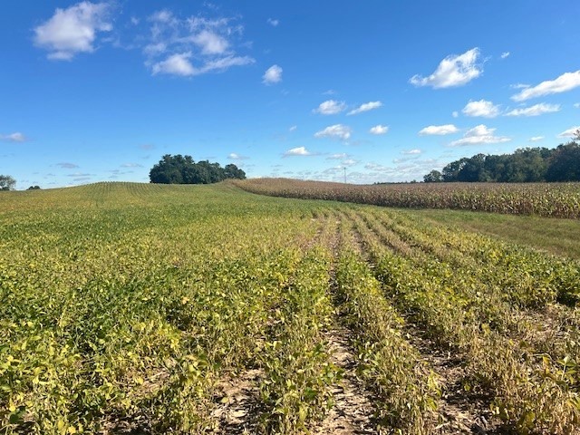 Land at TBD 12/27 Highway, Black River Falls, WI 54615 — photo 3