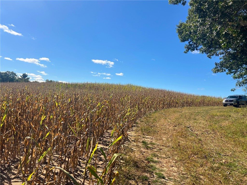 Land at TBD 12/27 Highway, Black River Falls, WI 54615 — photo 22