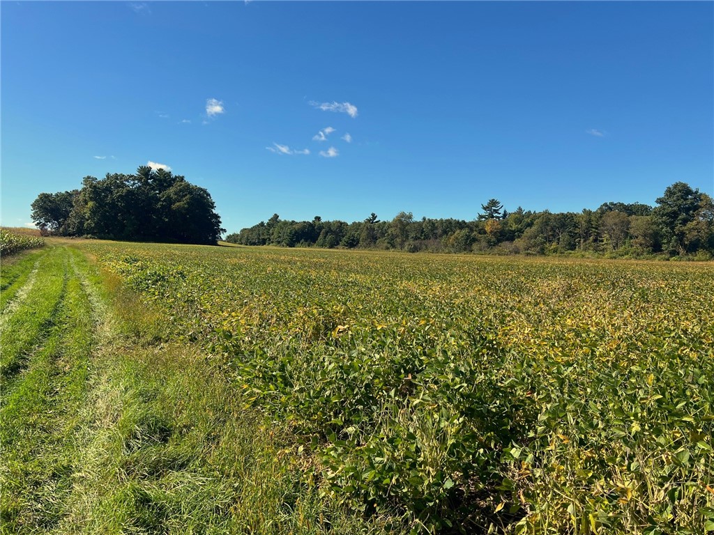 Land at TBD 12/27 Highway, Black River Falls, WI 54615 — photo 23