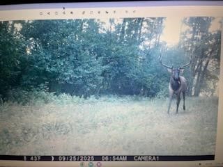 Land at TBD 12/27 Highway, Black River Falls, WI 54615 — photo 24