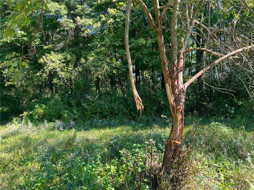 Land at TBD 12/27 Highway, Black River Falls, WI 54615 — photo 25
