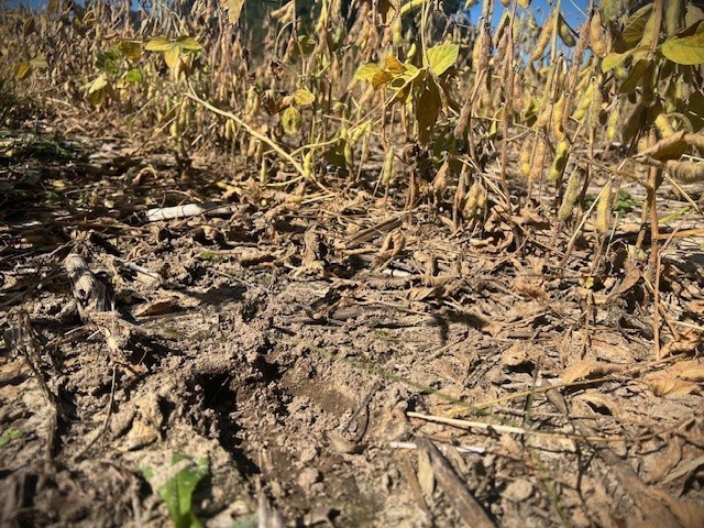 Land at TBD 12/27 Highway, Black River Falls, WI 54615 — photo 27