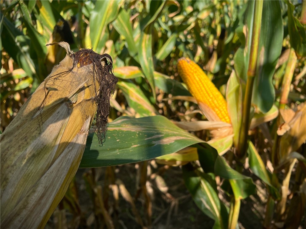 Land at TBD 12/27 Highway, Black River Falls, WI 54615 — photo 28