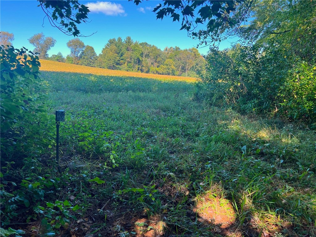 Land at TBD 12/27 Highway, Black River Falls, WI 54615 — photo 29