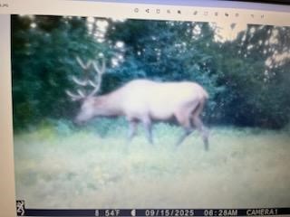 Land at TBD 12/27 Highway, Black River Falls, WI 54615 — photo 30