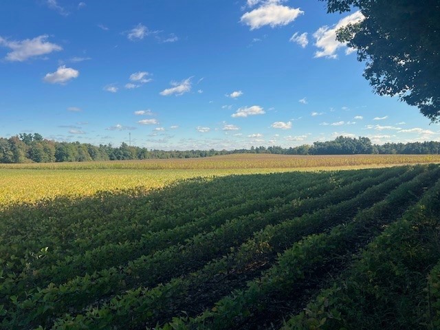 Land at TBD 12/27 Highway, Black River Falls, WI 54615 — photo 4