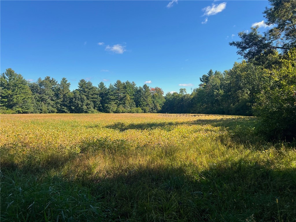 Land at TBD 12/27 Highway, Black River Falls, WI 54615 — photo 32
