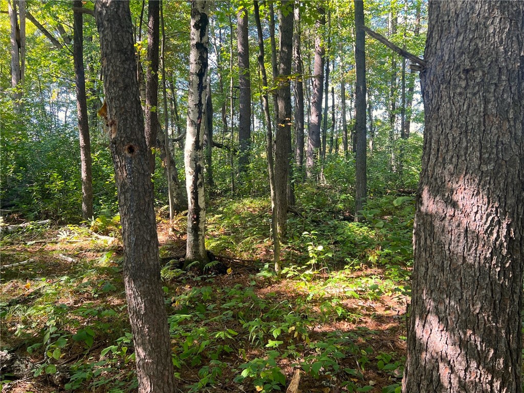 Land at TBD 12/27 Highway, Black River Falls, WI 54615 — photo 33