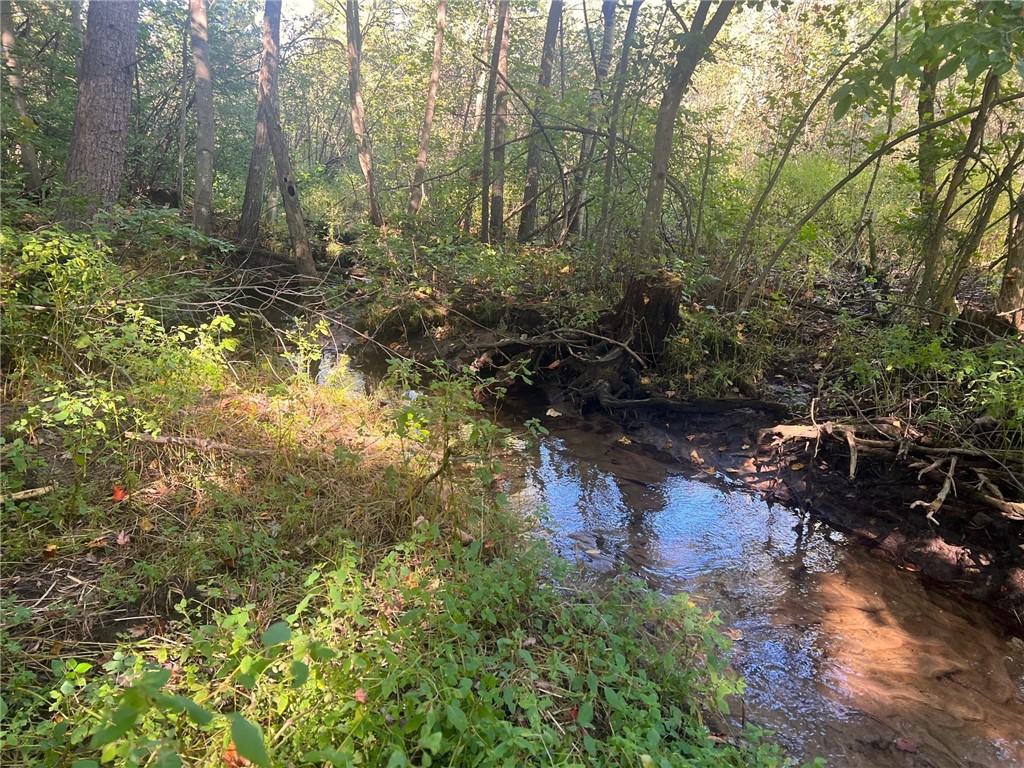 Land at TBD 12/27 Highway, Black River Falls, WI 54615 — photo 38