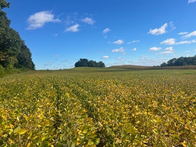 Land at TBD 12/27 Highway, Black River Falls, WI 54615 — photo 5