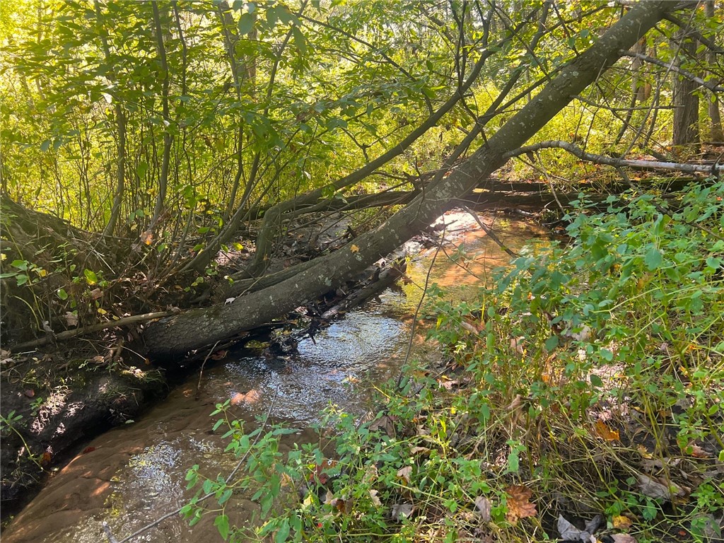 Land at TBD 12/27 Highway, Black River Falls, WI 54615 — photo 41