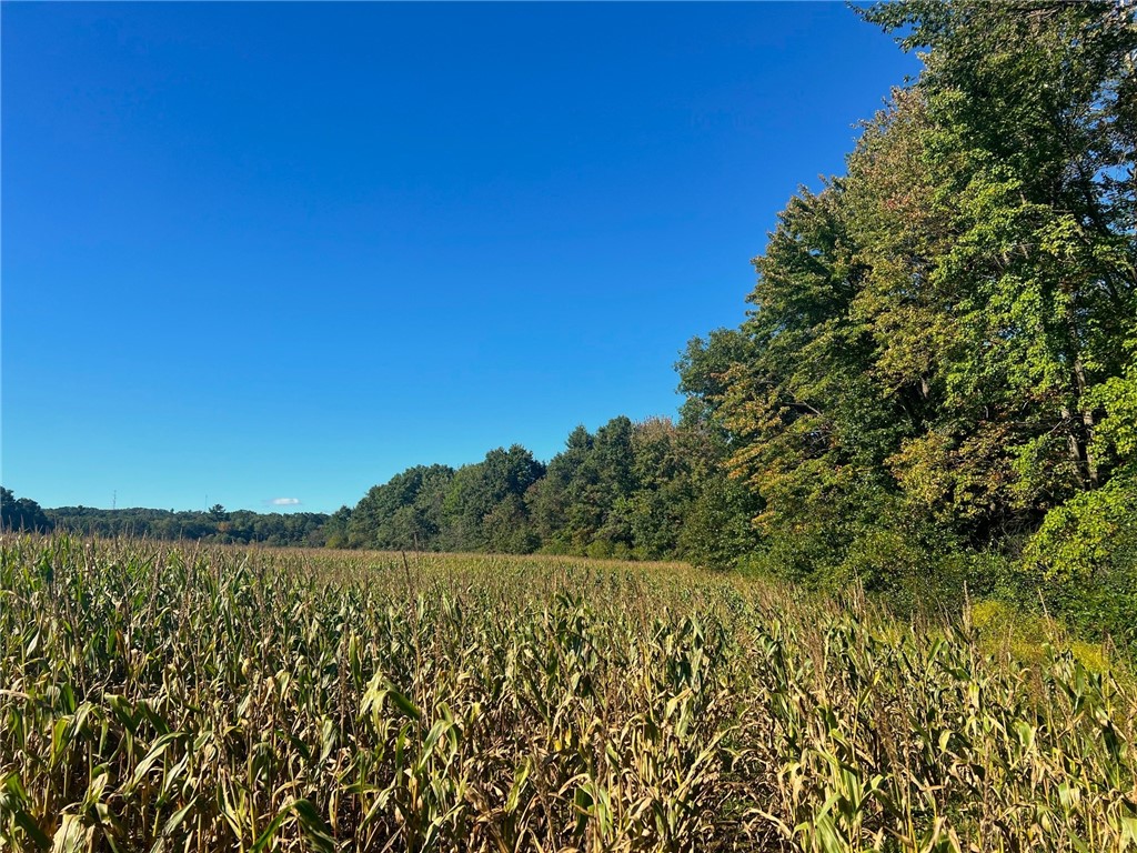 Land at TBD 12/27 Highway, Black River Falls, WI 54615 — photo 45