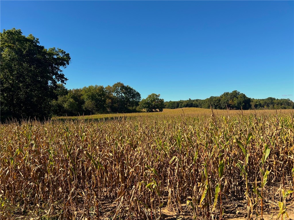 Land at TBD 12/27 Highway, Black River Falls, WI 54615 — photo 47