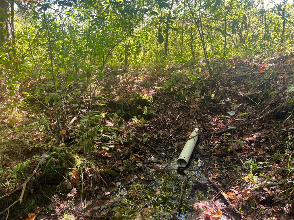 Land at TBD 12/27 Highway, Black River Falls, WI 54615 — photo 49