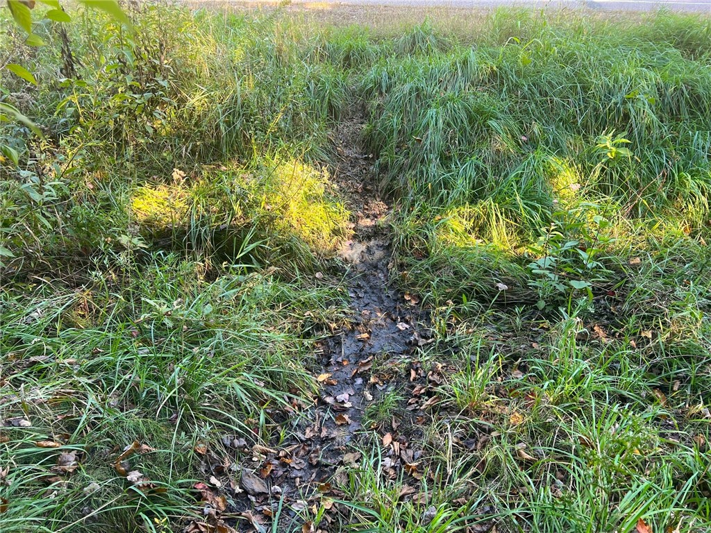Land at TBD 12/27 Highway, Black River Falls, WI 54615 — photo 51