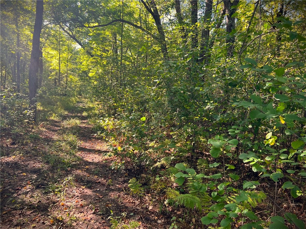 Land at TBD 12/27 Highway, Black River Falls, WI 54615 — photo 54