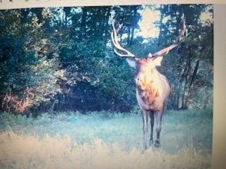 Land at TBD 12/27 Highway, Black River Falls, WI 54615 — photo 7